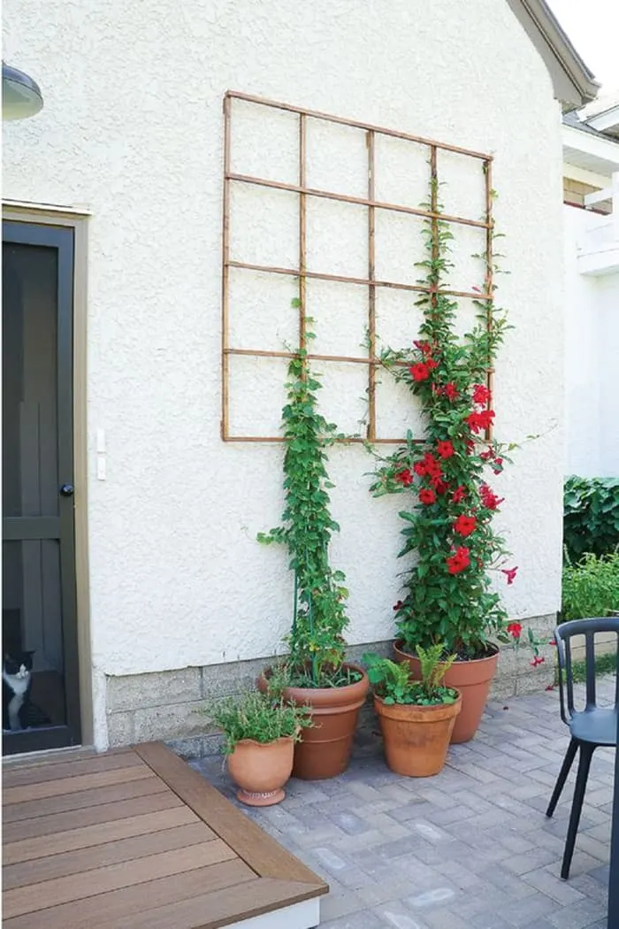 diy easy plant trellis