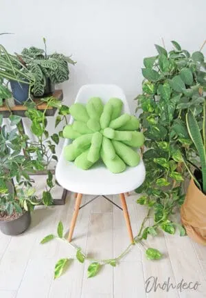 succulent pillow diy