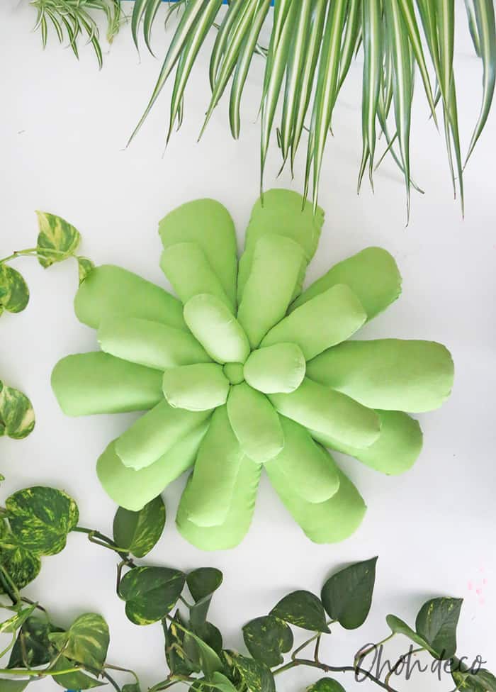 succulent pillow diy