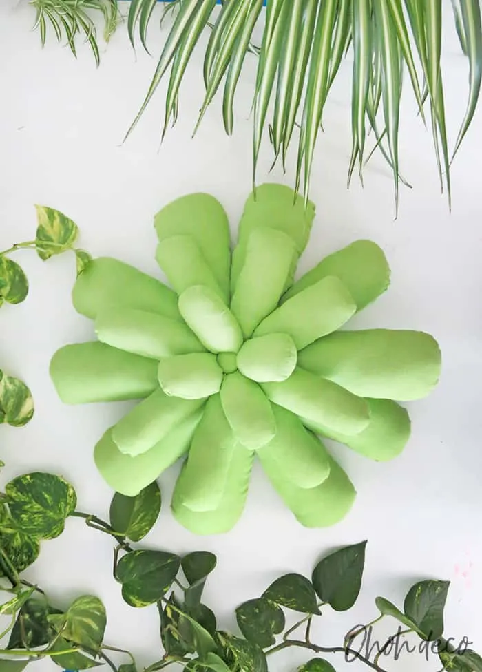 succulent pillow diy