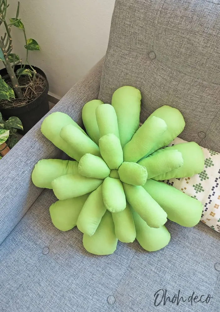 succulent pillow diy