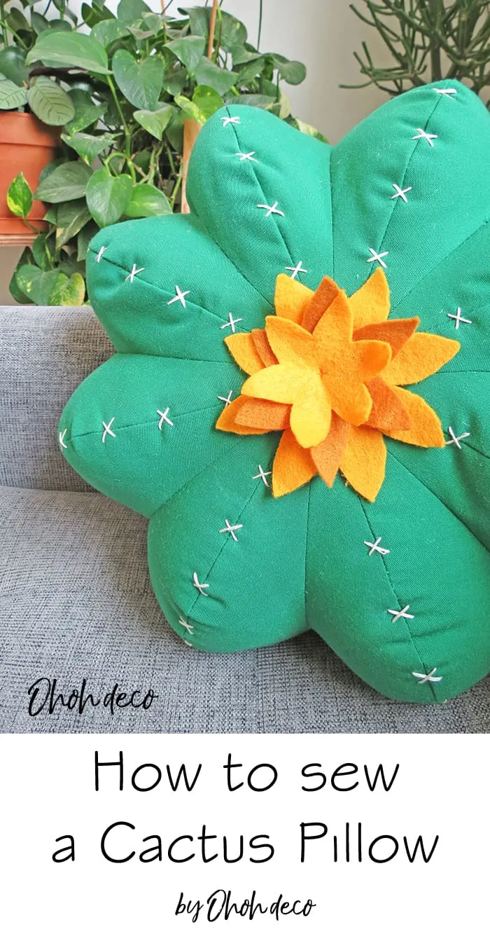 cactus pillow pattern