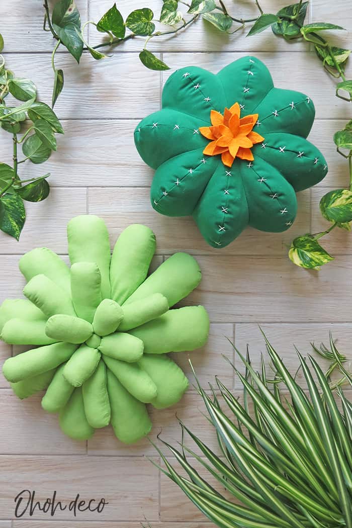 cactus pillow and succulent pillow on the floor