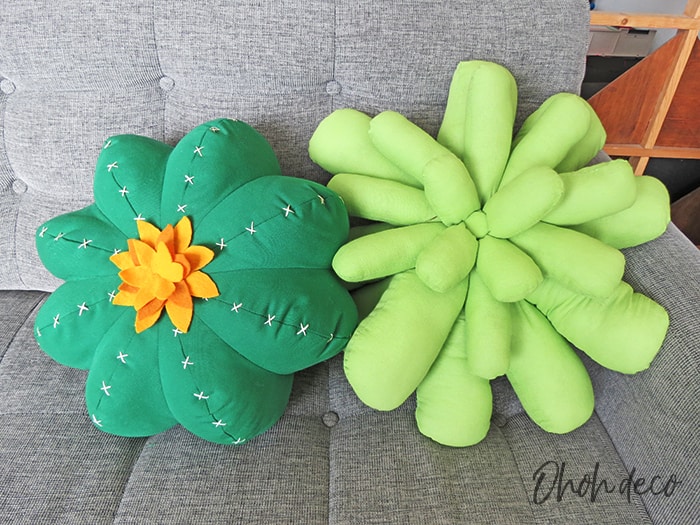 succulent pillow and cactus pillow