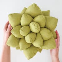 Succulent pillow pattern and tutorial