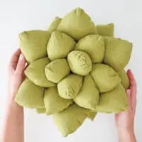 Succulent pillow pattern and tutorial