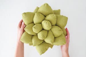 Succulent pillow pattern and tutorial