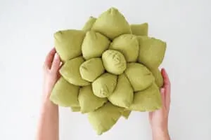 Succulent pillow pattern and tutorial