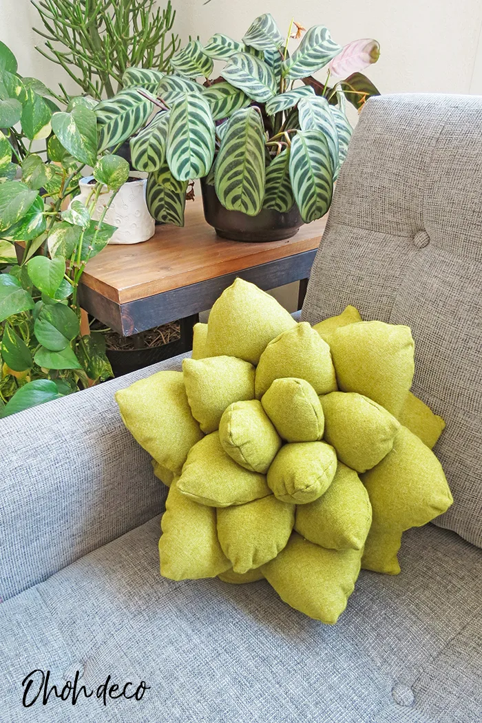 succulent pillow pattern