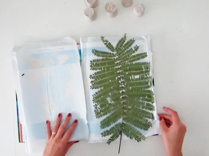 DIY dried pressed leaf