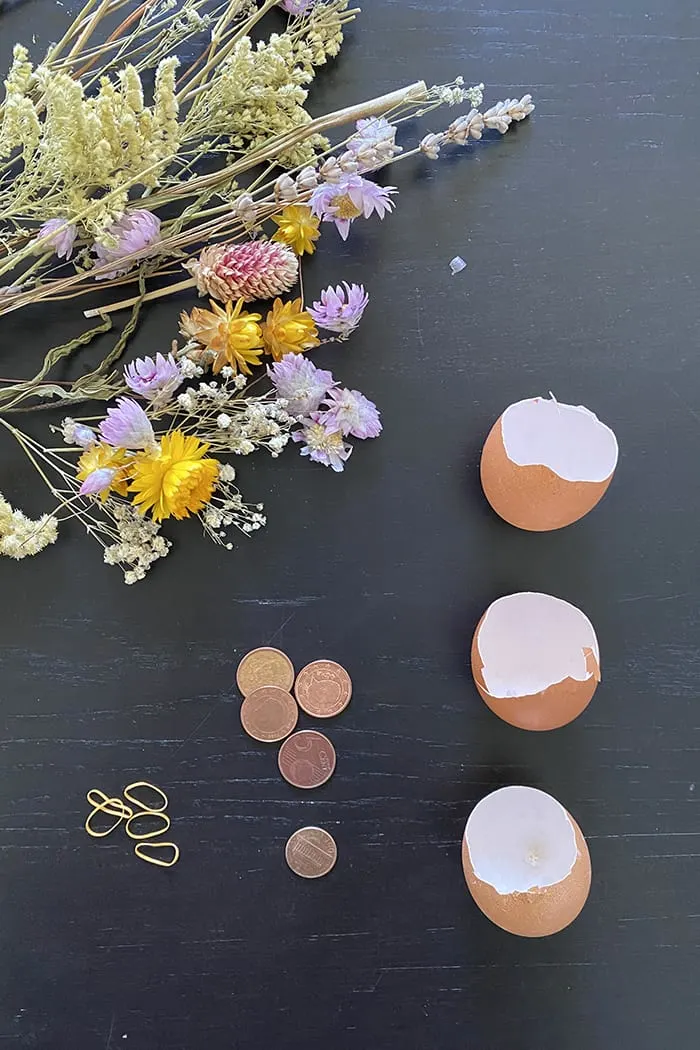 Egg shells craft idea