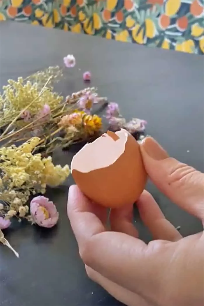 Clean Egg shells for craft