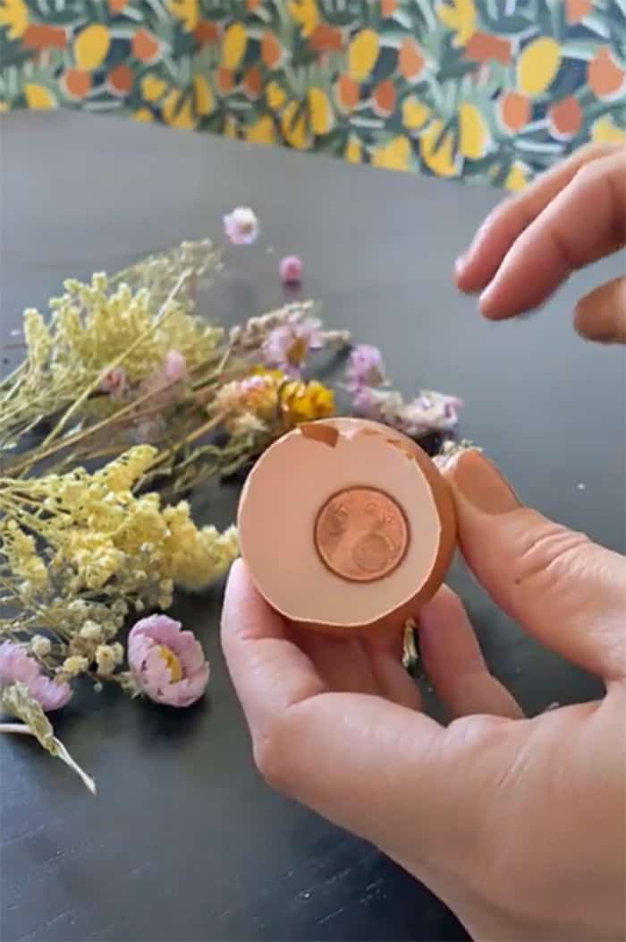 DIY Egg shell spring craft