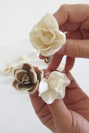sola wood flowers