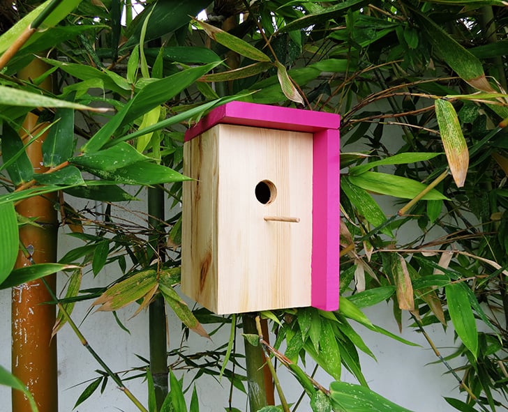 DIY bird house