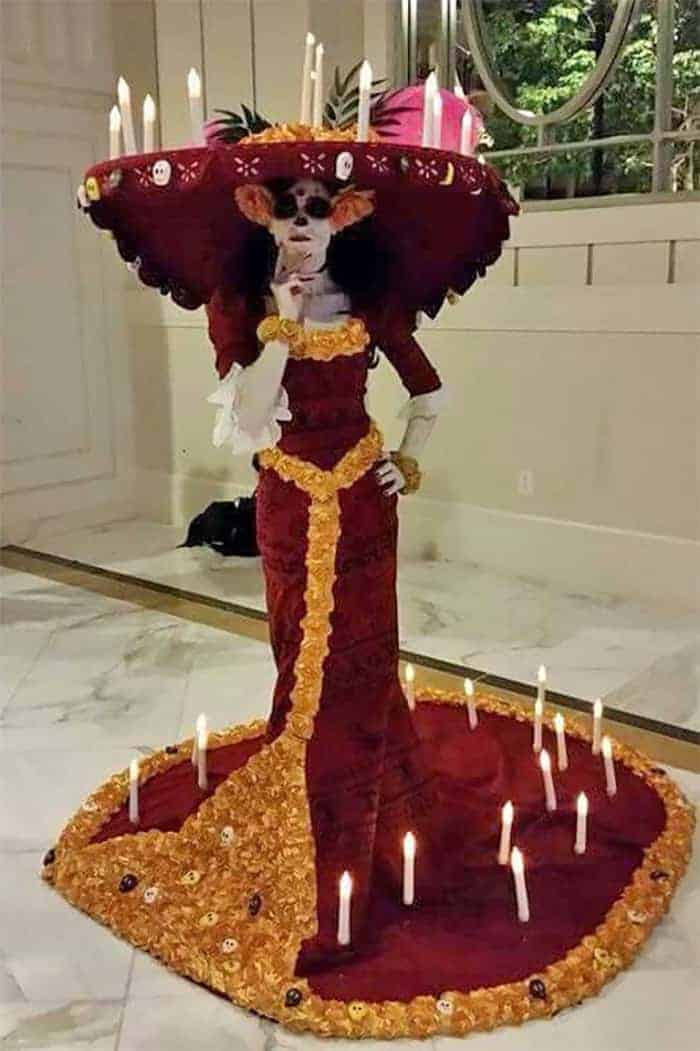 Catrina muerte costume inspiration