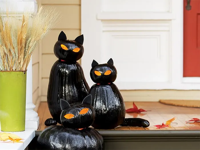 DIY black cat lantern