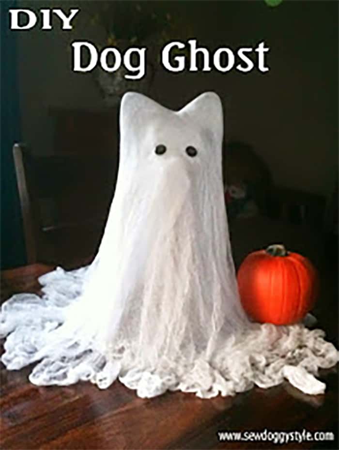 DIY ghost dog