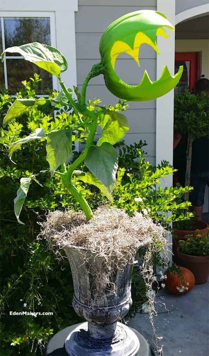 DIY giant carnivore plant