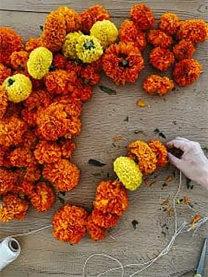 DIY marigold garland