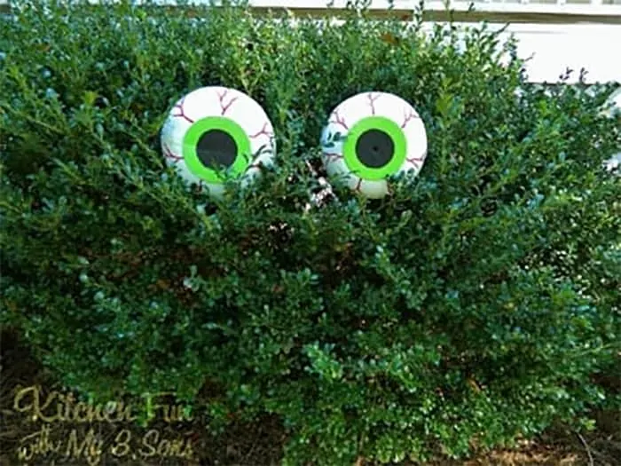 DIY spooky bush eyes