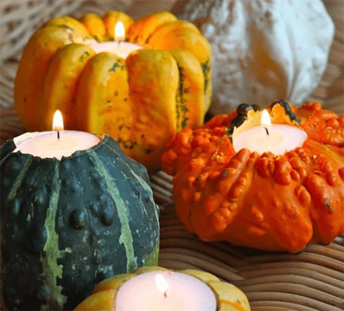 Fall gourds candle