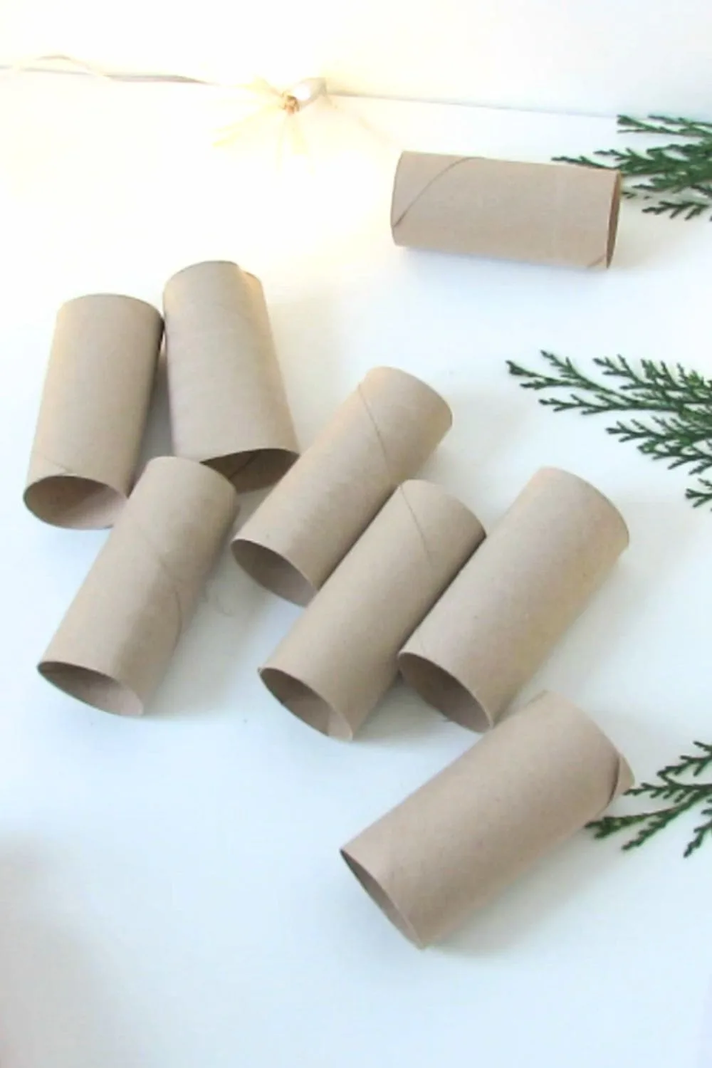 toilet paper rolls craft