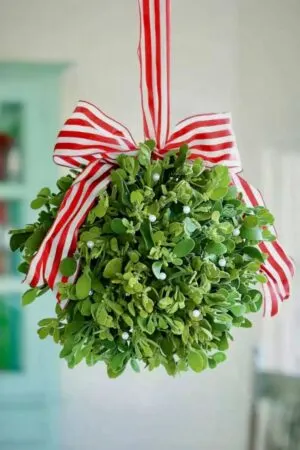 hanging christmas mistletoe