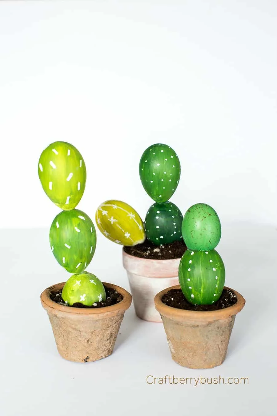 Egg Cactus Craftberry Bush (1 of 1)-3