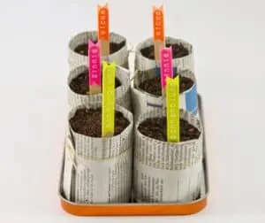 paper planter