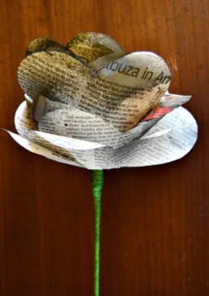 rose paper