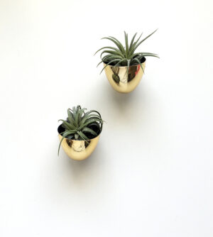 tiny planters diy