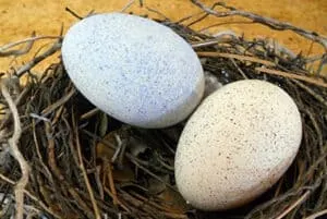 plastic easter egg crafts