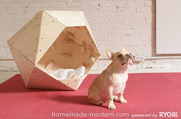 diy dog house