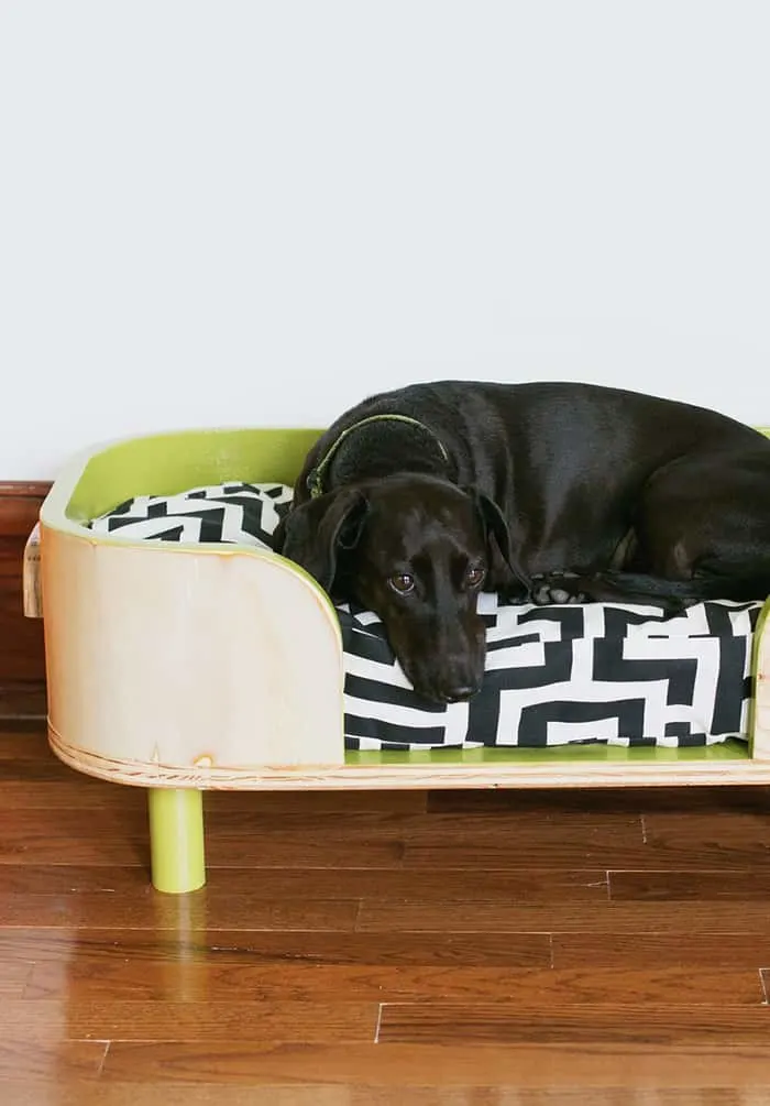 how to make a pet bed