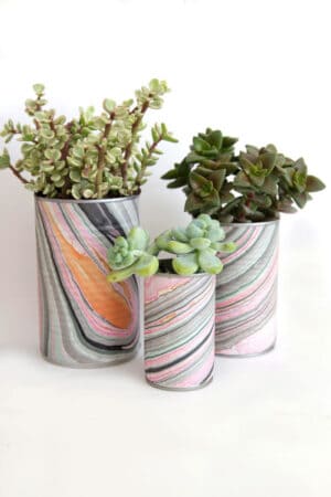 diy tin can planter