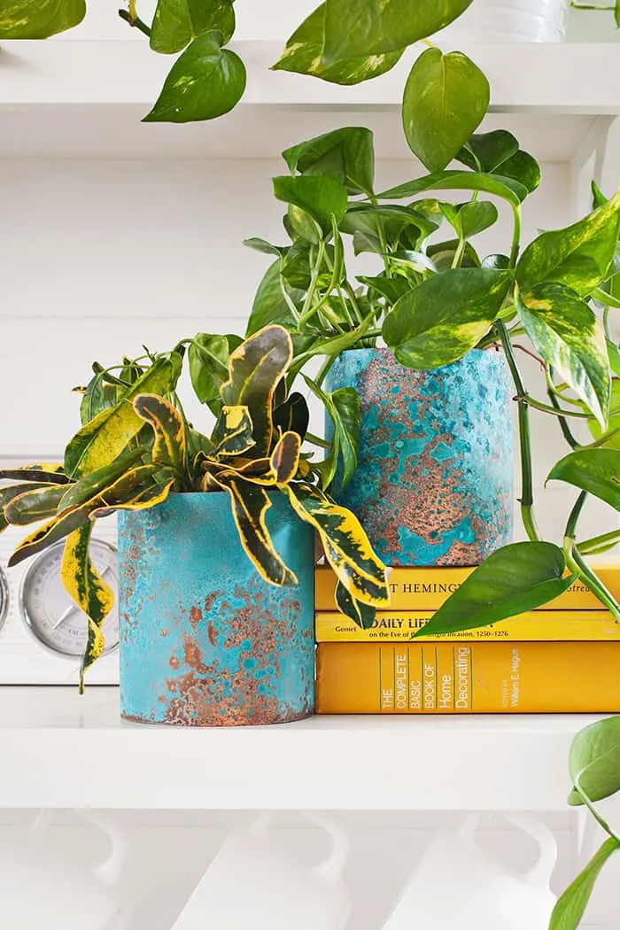 diy tin can planter idea