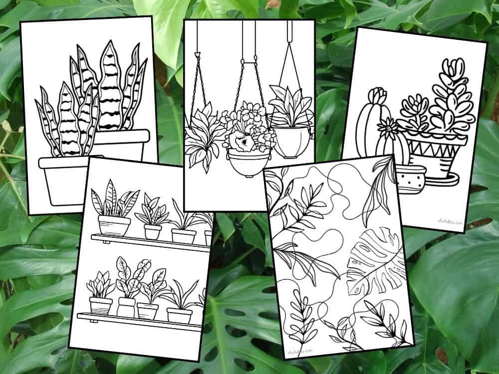 plant coloring pages free download