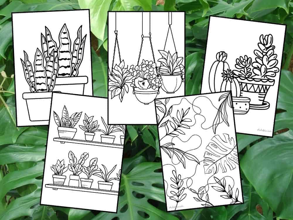 plant coloring pages free download