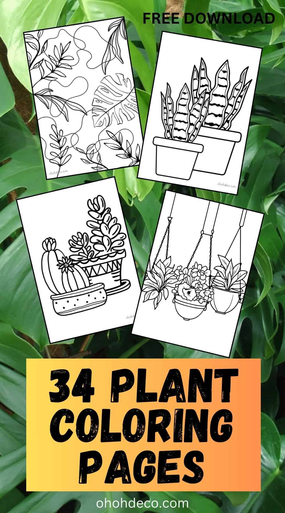 Plant coloring pages free download