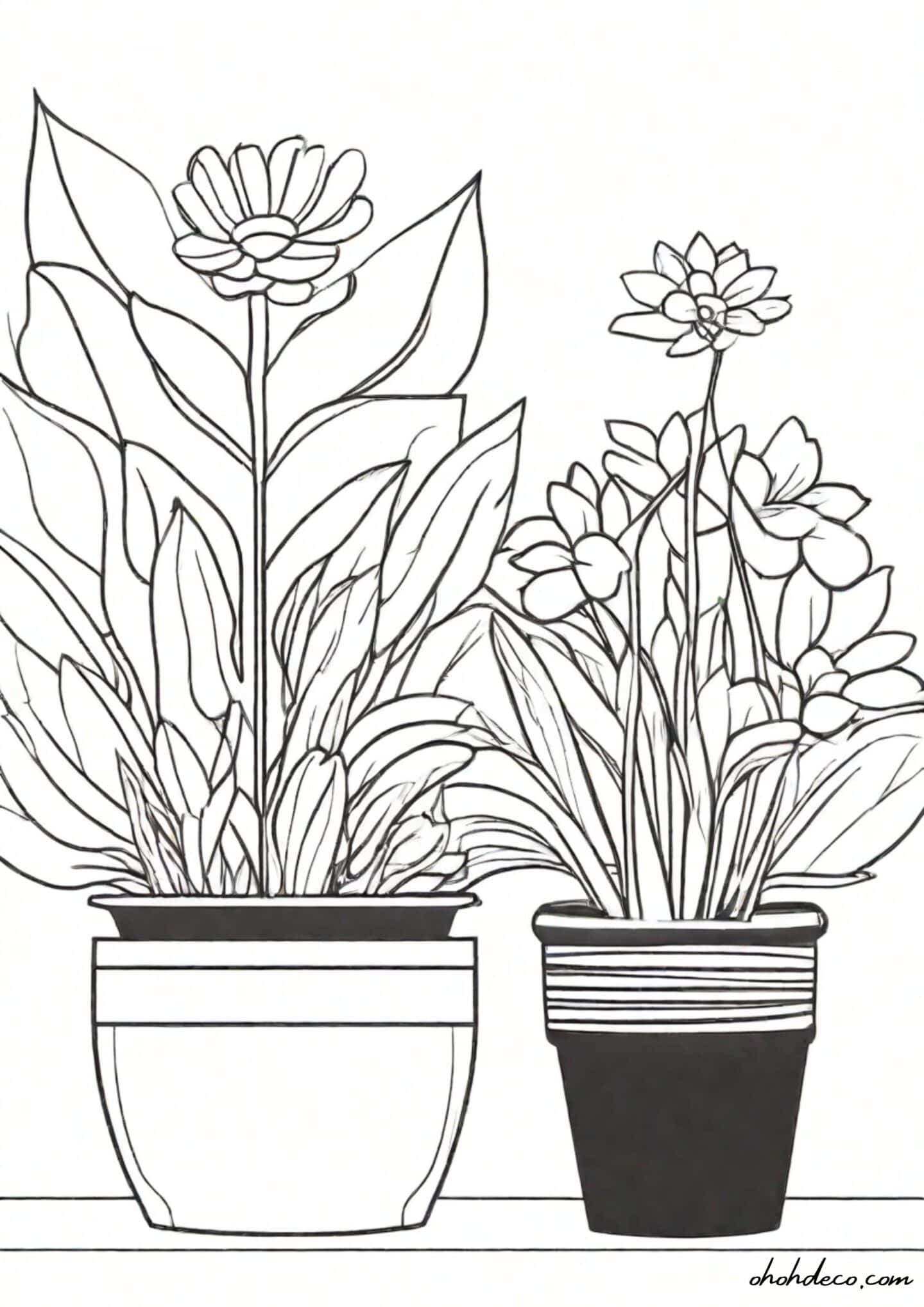 color page flower pots