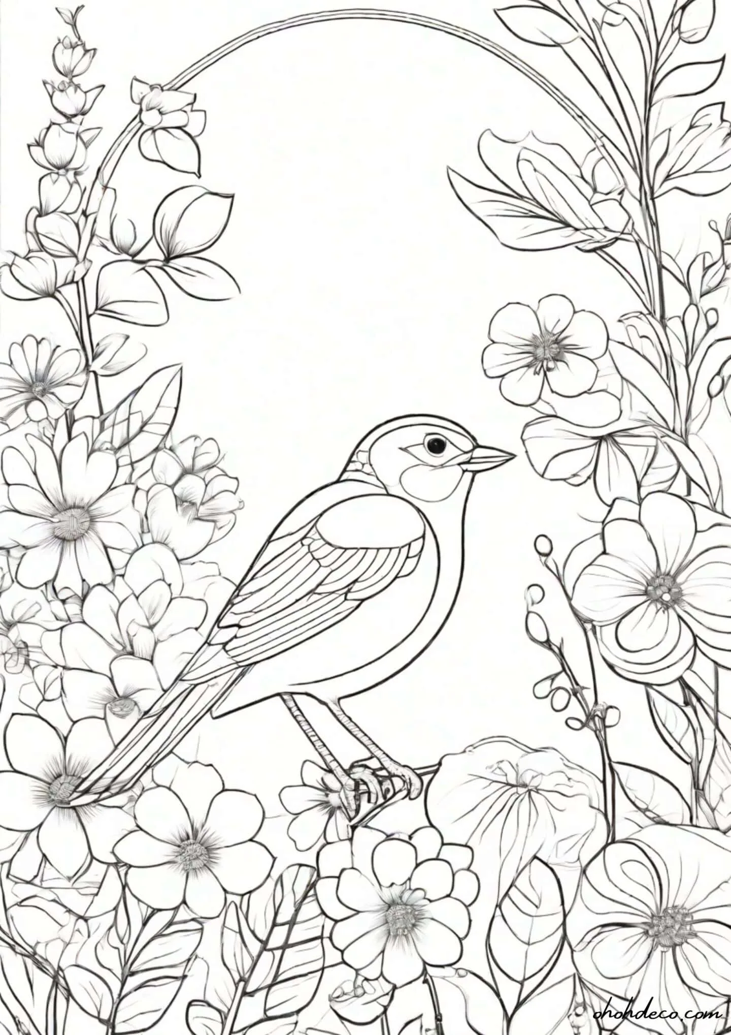 bird coloring page