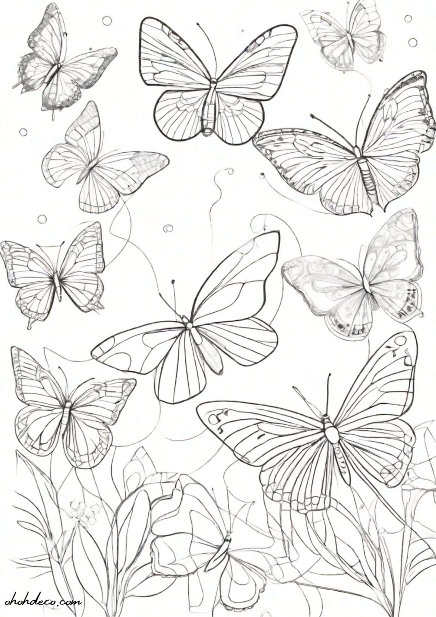 butterflies coloring page