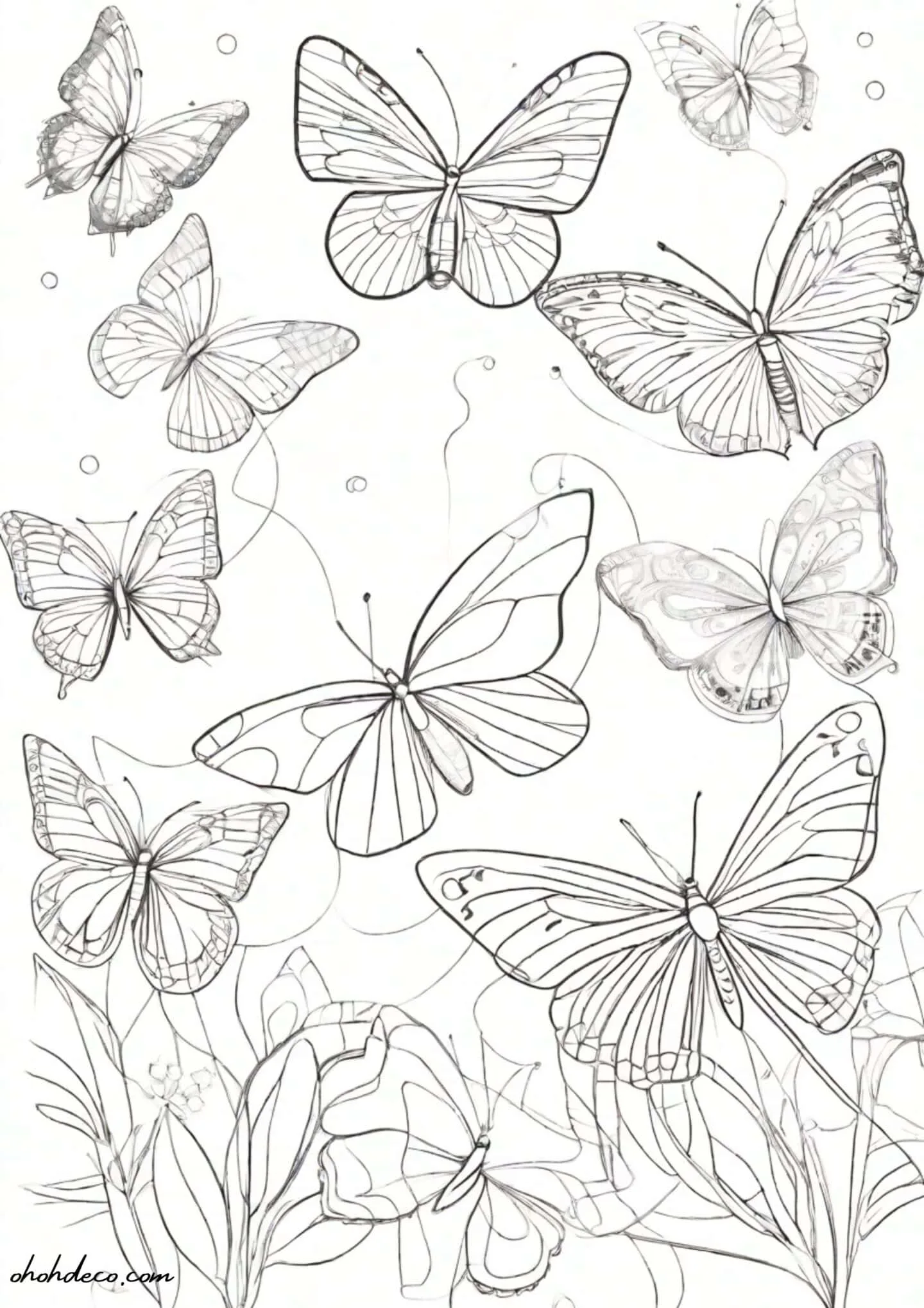 butterflies coloring page