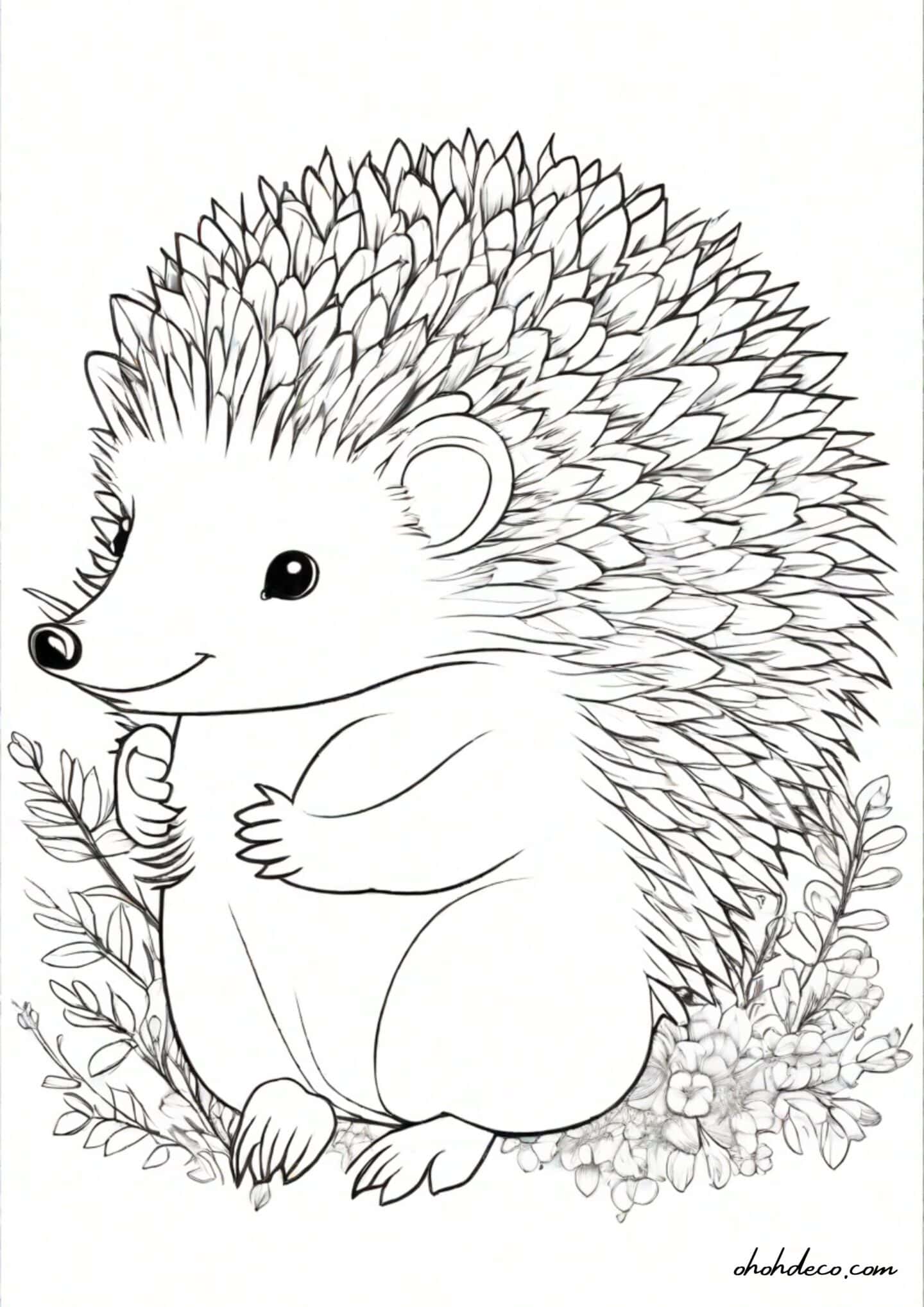 hedgehog coloring page
