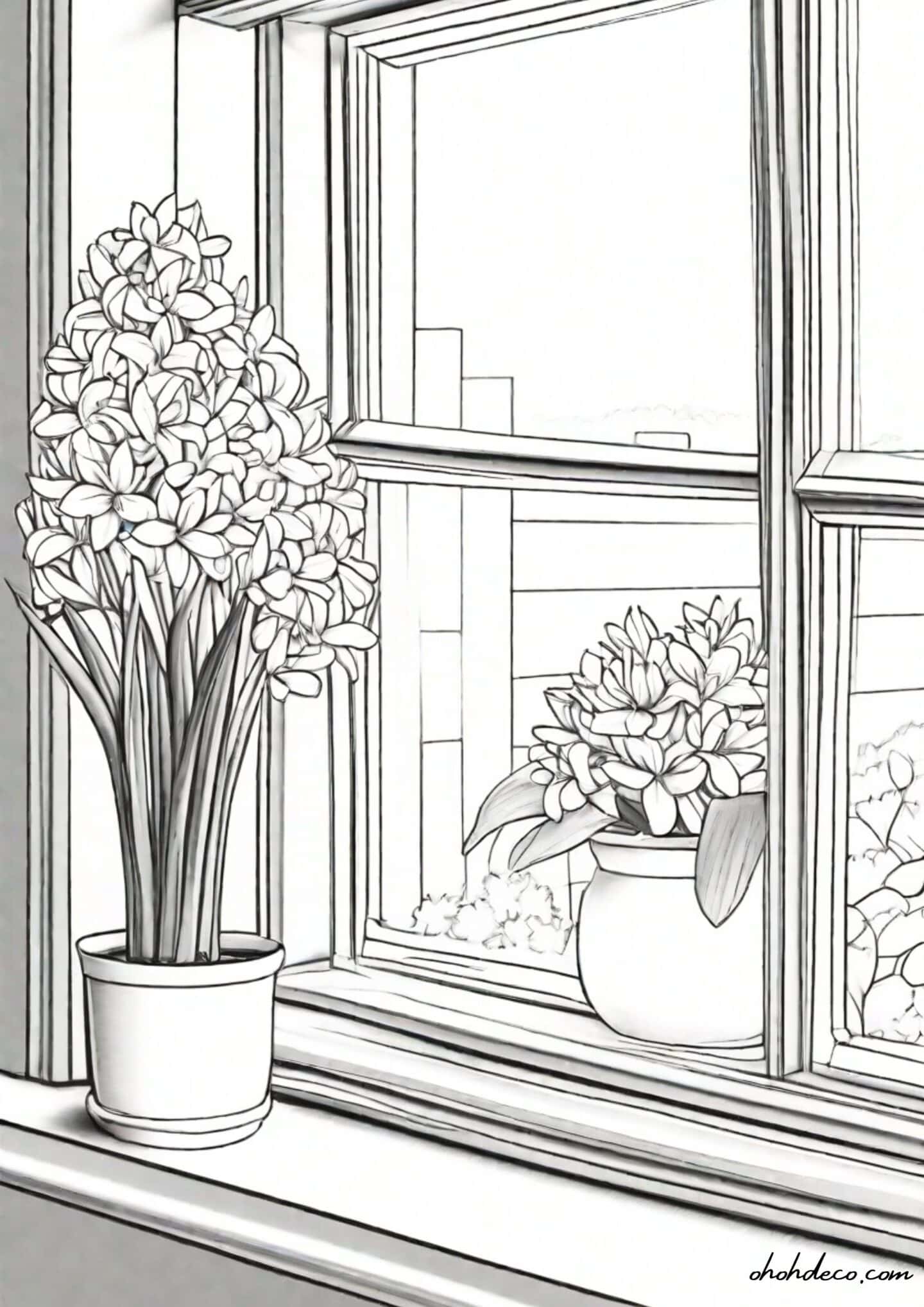 hyacinth coloring page