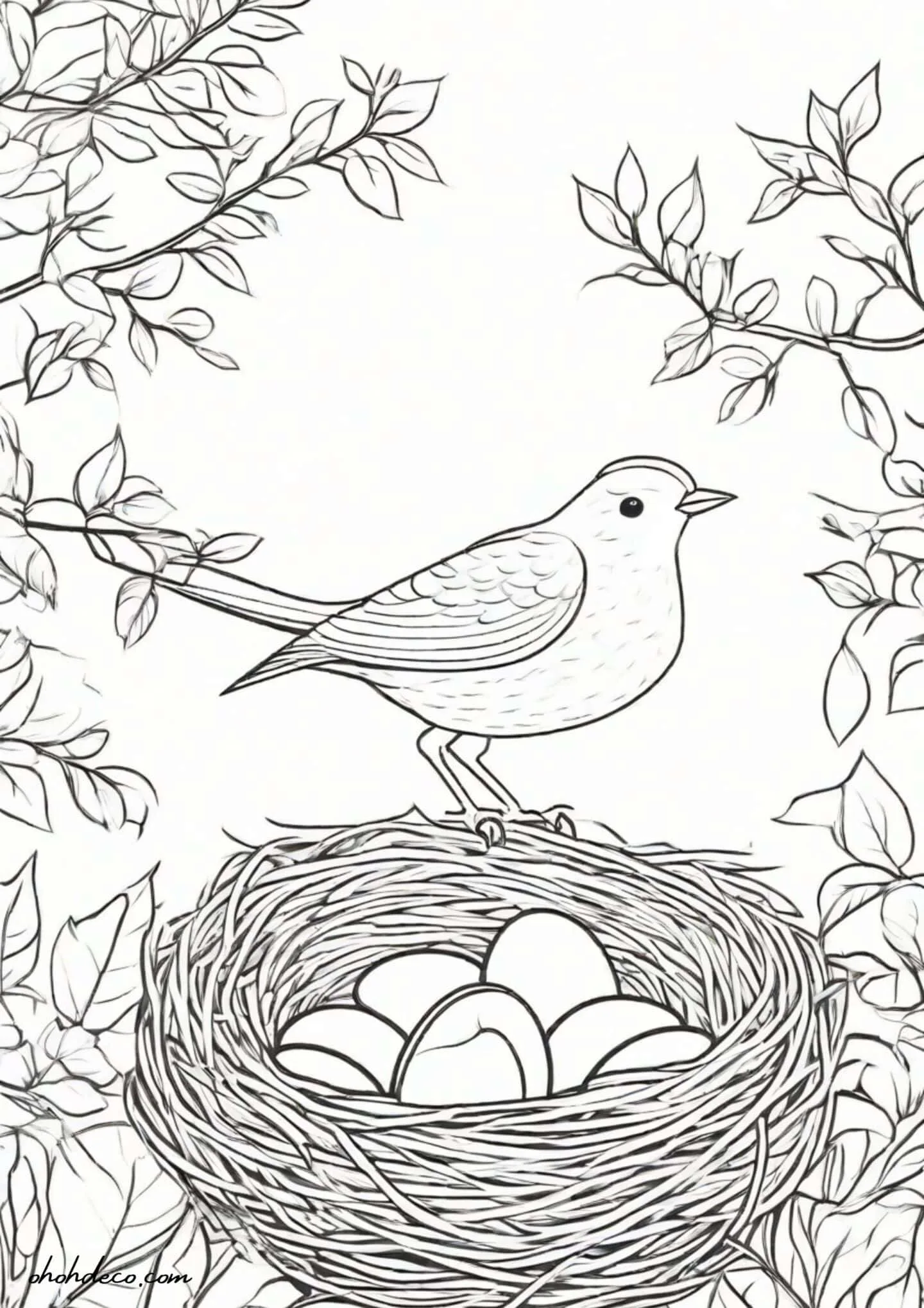 nest coloring page free