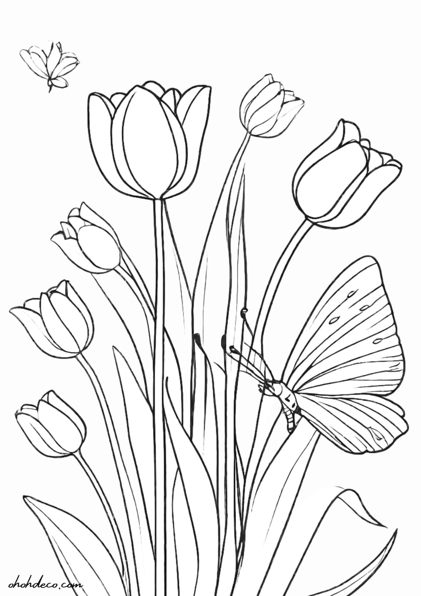 tulip coloring page