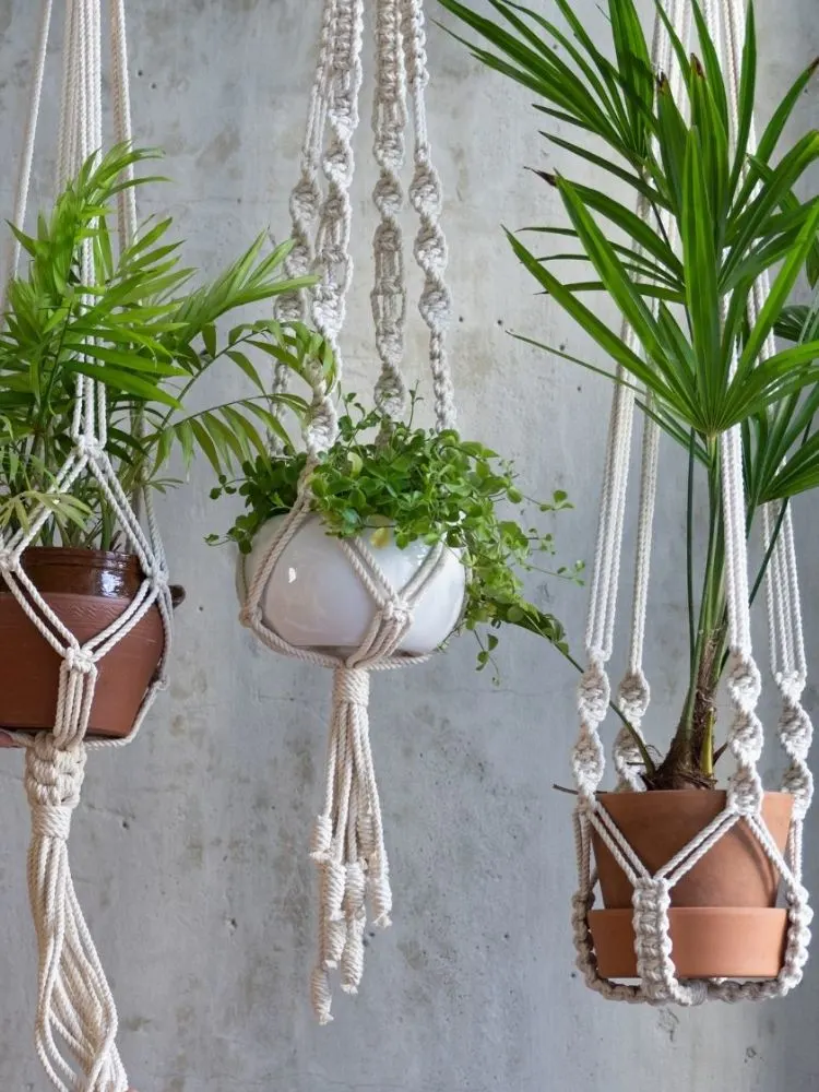 macrame plant hanger diy