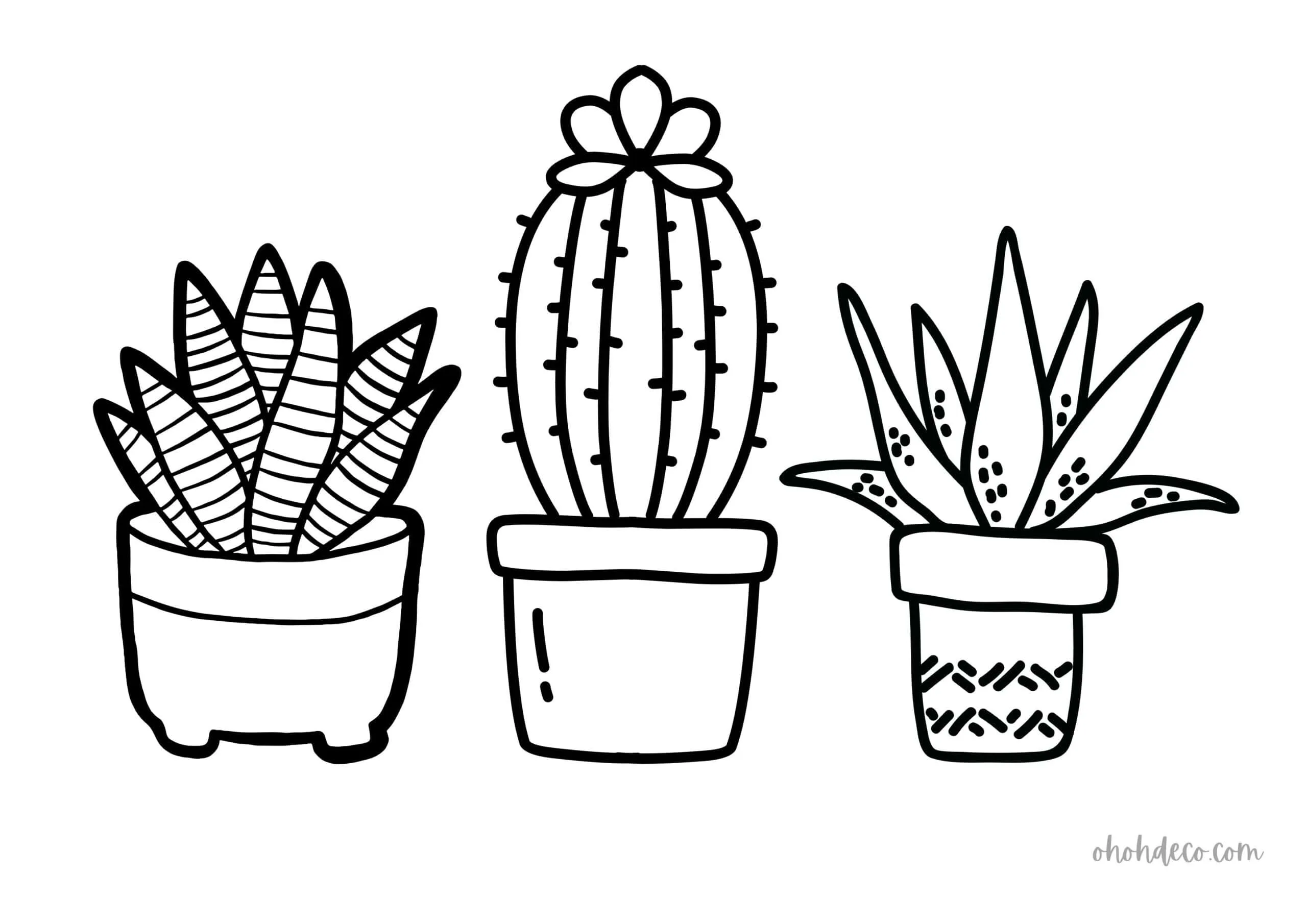 cactus coloring page